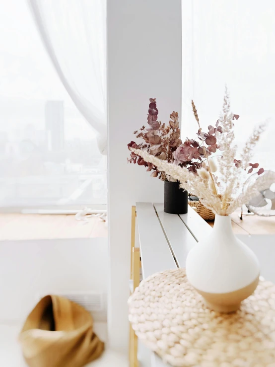 a plant on a table near a window