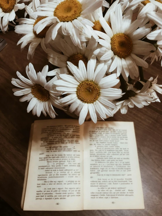 a bunch of daisies in a vase are on the table