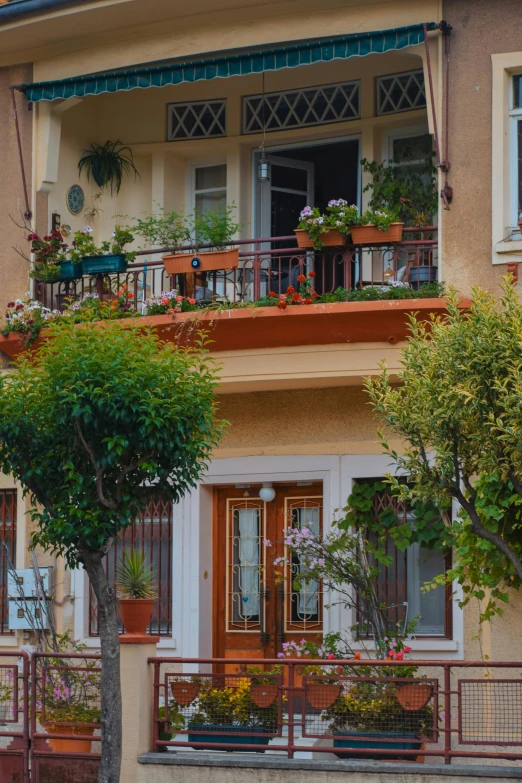 pots on a balcony where flowers are blooming