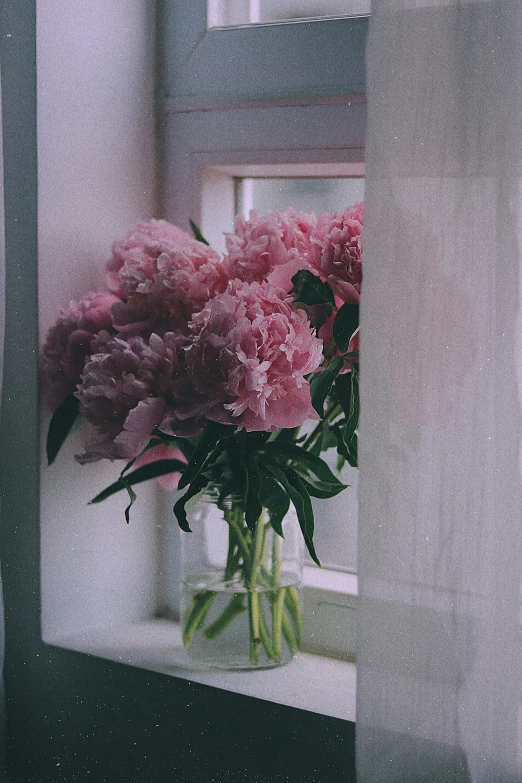 some pink flowers sit in a vase on the windowsill