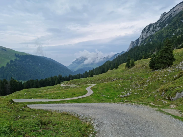 a view of the top of a mountain trail