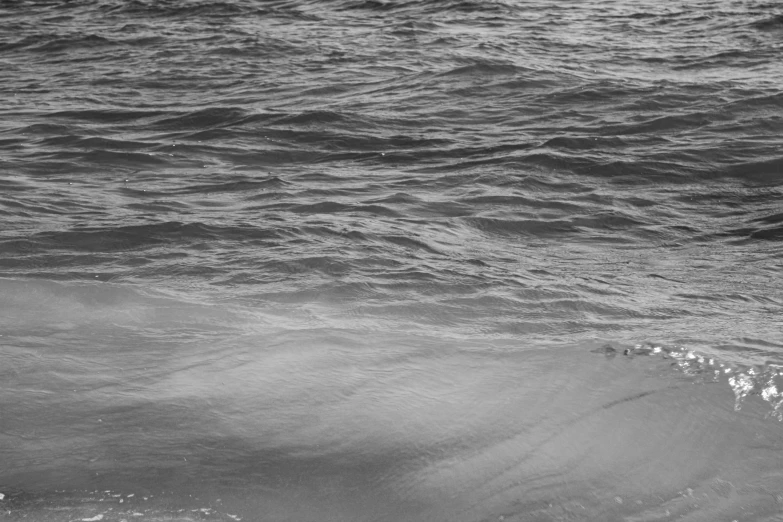 a bird is flying over the waves in the ocean