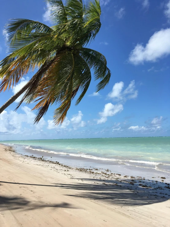 a tropical beach scene with blue sky and white water