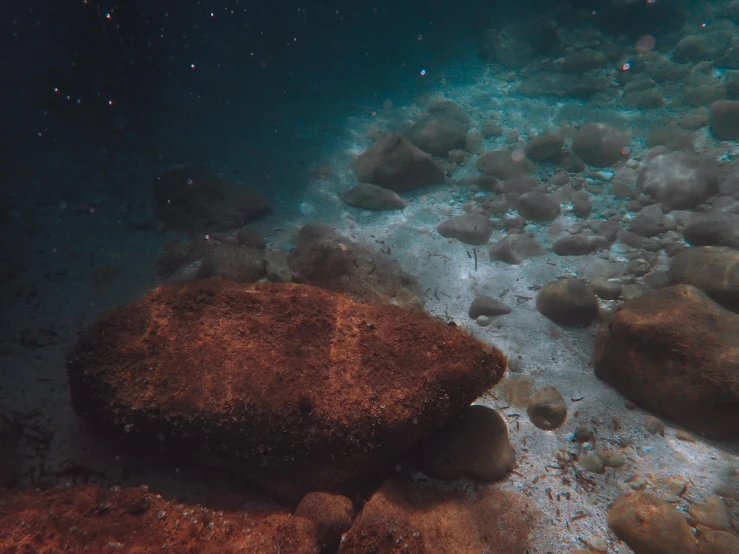 an orange piece of rock on the bottom of some water