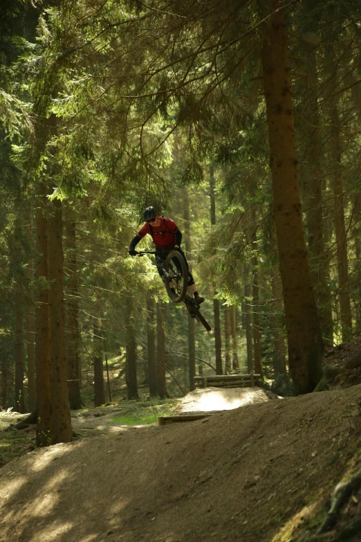 the cyclist jumps high in the woods as he does a jump