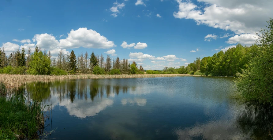 a scenic view of the lake with trees in the background