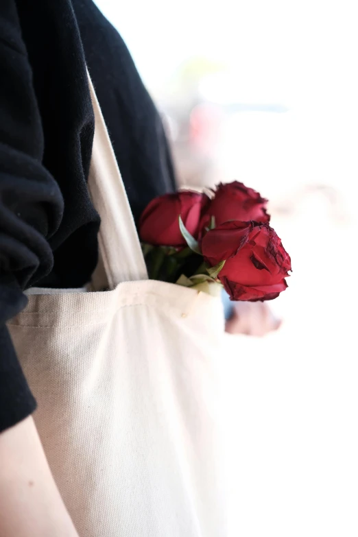 three red roses sticking out of an open pocket