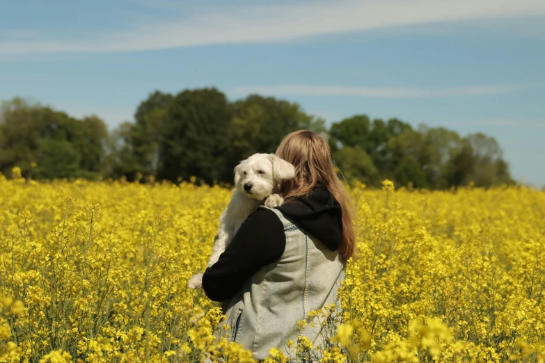 girl holding white dog in middle of grassy field