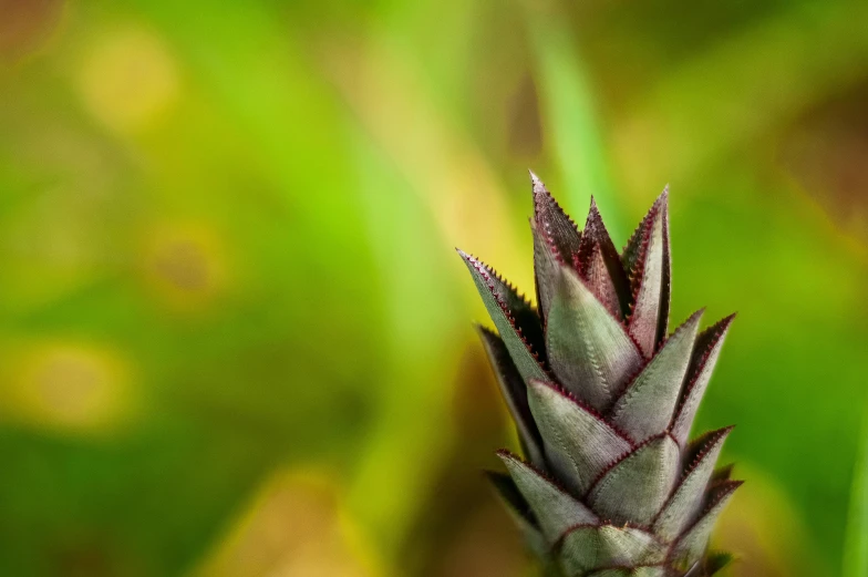 a close up image of an object that is blurry and blurry