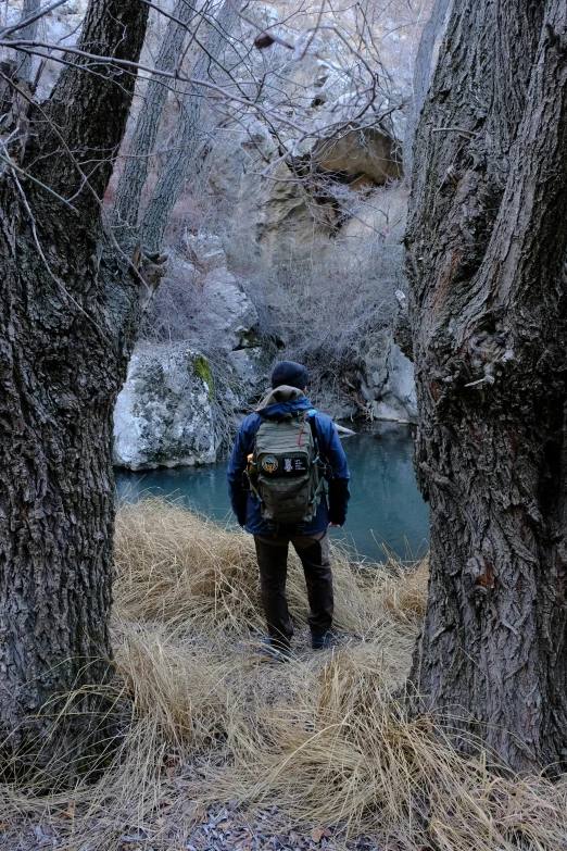 a man with a backpack walking through a forest area