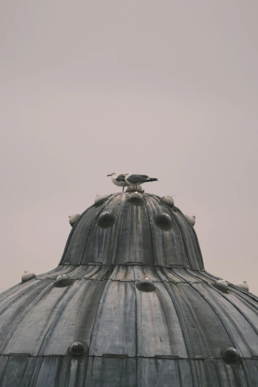 a dome of cement with three birds perched on top