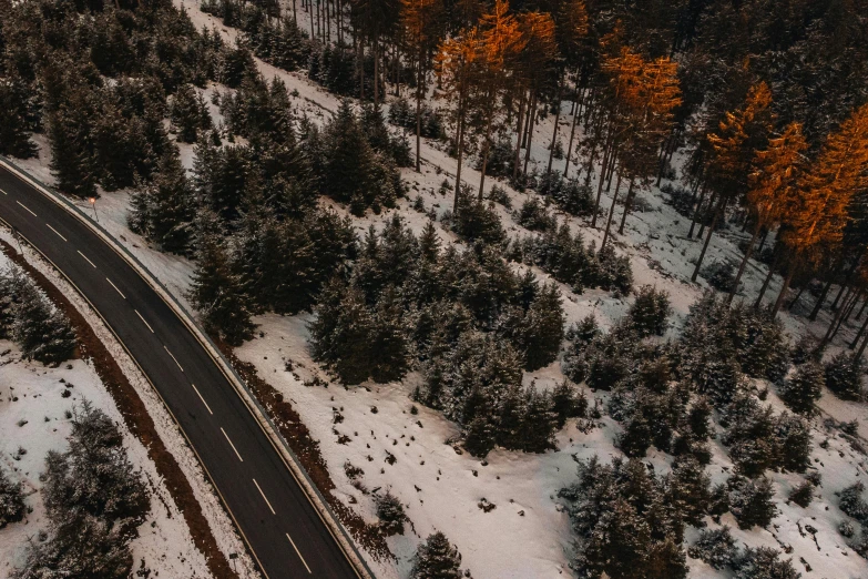 an aerial po of the road through some trees