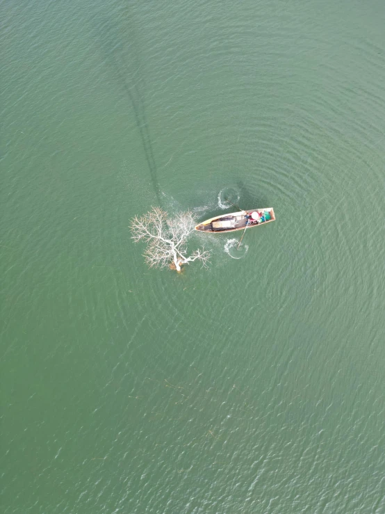 an aerial view of a person rowing down the river on their boat