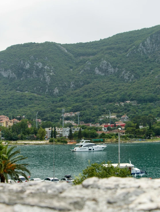 a mountain is in the background with a large body of water