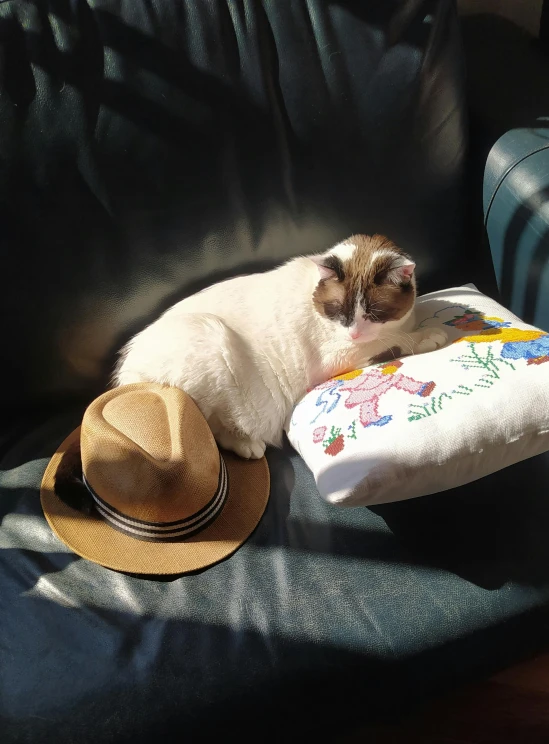 a small white dog laying on top of a chair next to a blanket and hat