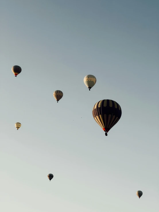 several  air balloons flying in a blue sky
