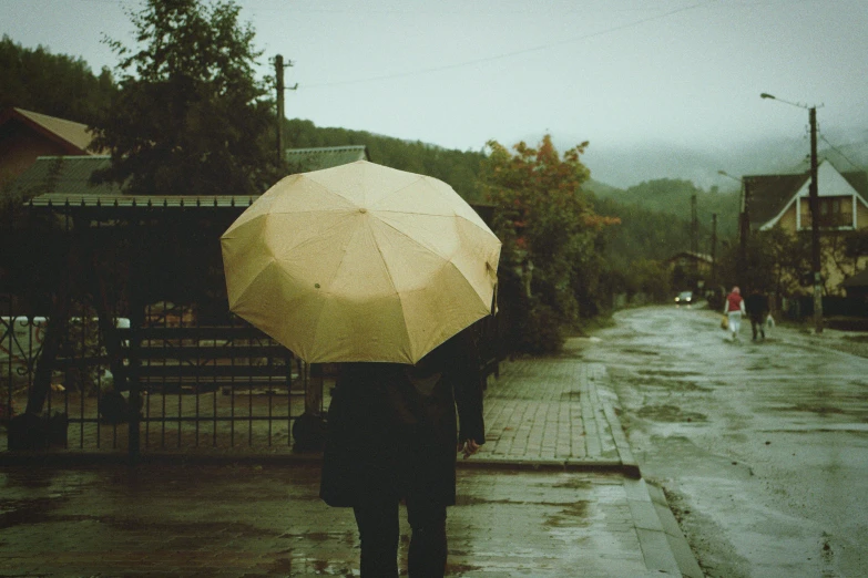 people walking down a street in the rain