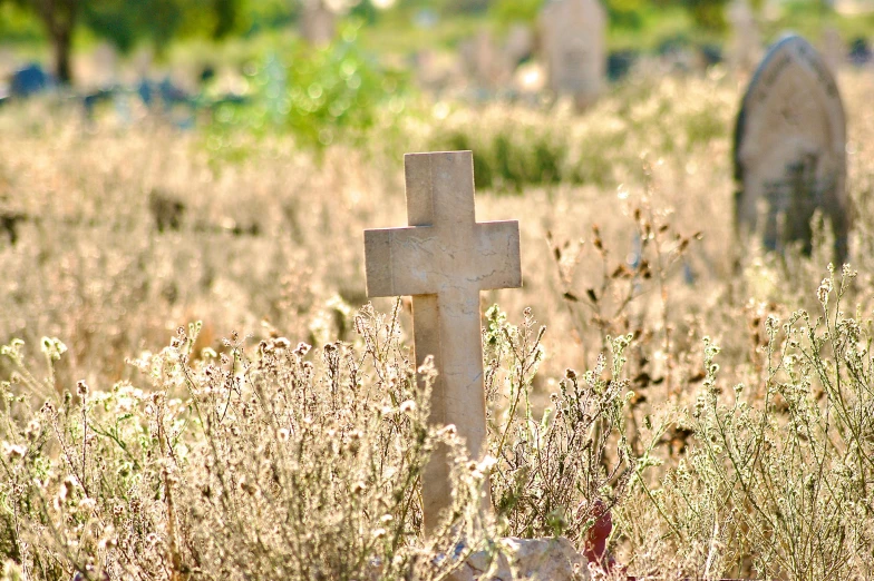 a stone cross and headstone in an overgrown cemetery