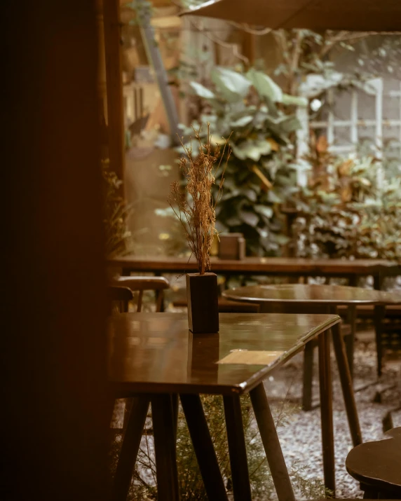 a couple of wooden chairs and some tables