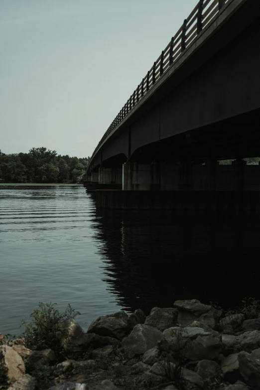 some ducks swimming under a bridge on the river