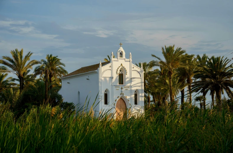 white church with many windows in front of some palm trees