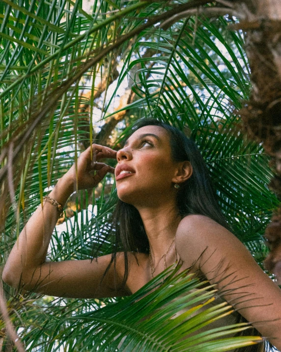 a close up of a person in the tree looking up