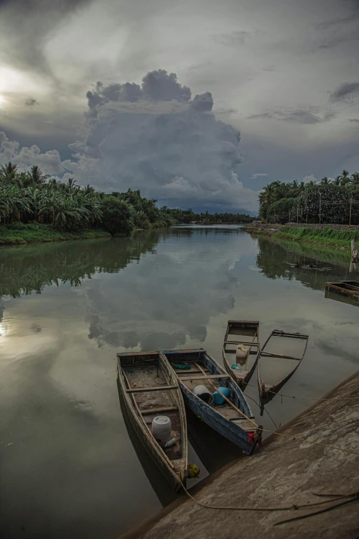 a couple of small boats tied to the shore