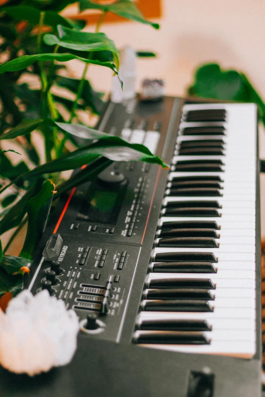 an electronic keyboard sitting next to a plant