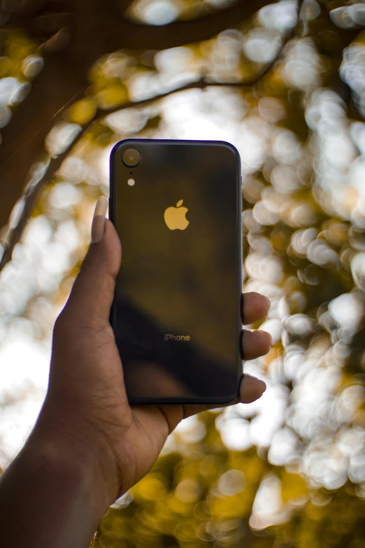 a hand holding an iphone that is displaying a golden apple on its screen