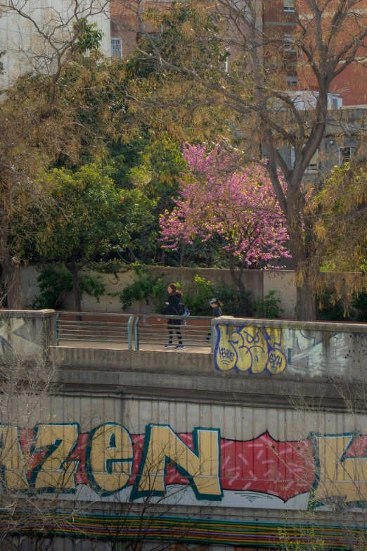 a park with graffiti and trees with buildings in the background