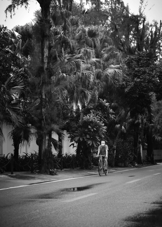 a person on a bicycle riding down a street