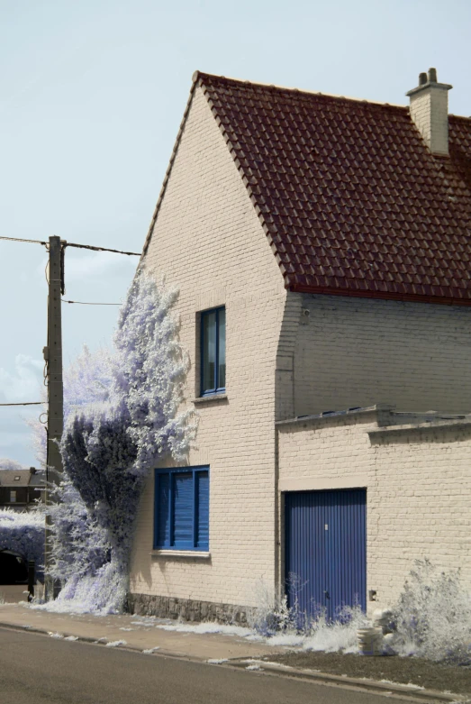 the house has blue shutters on the windows