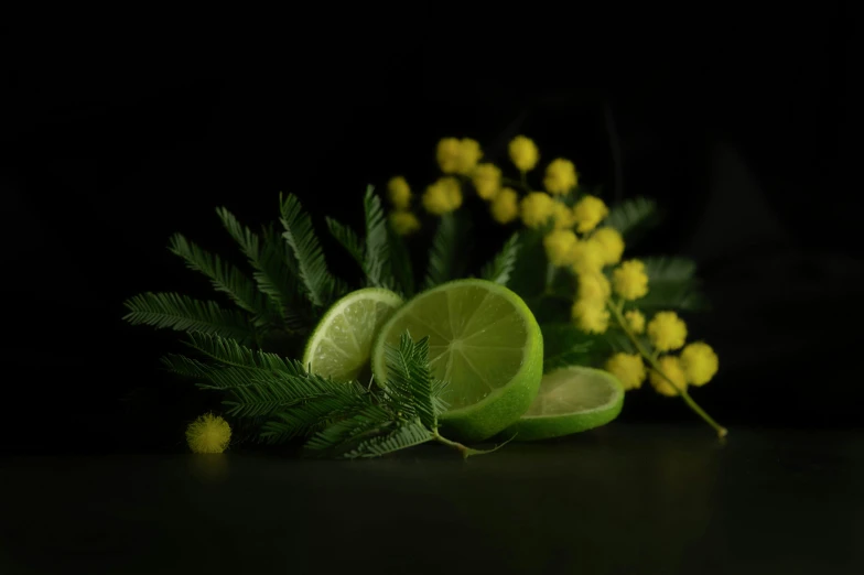 limes and flowers with dark background and leaves