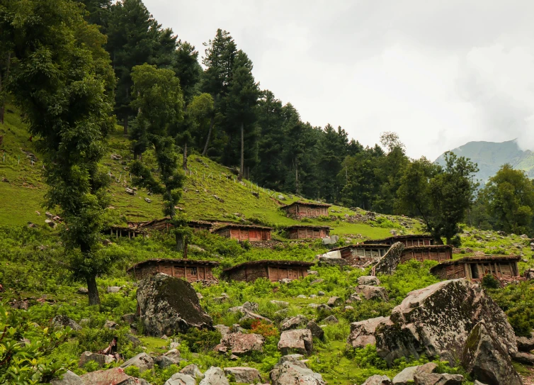 large rocks in grass and a hillside with trees in the background