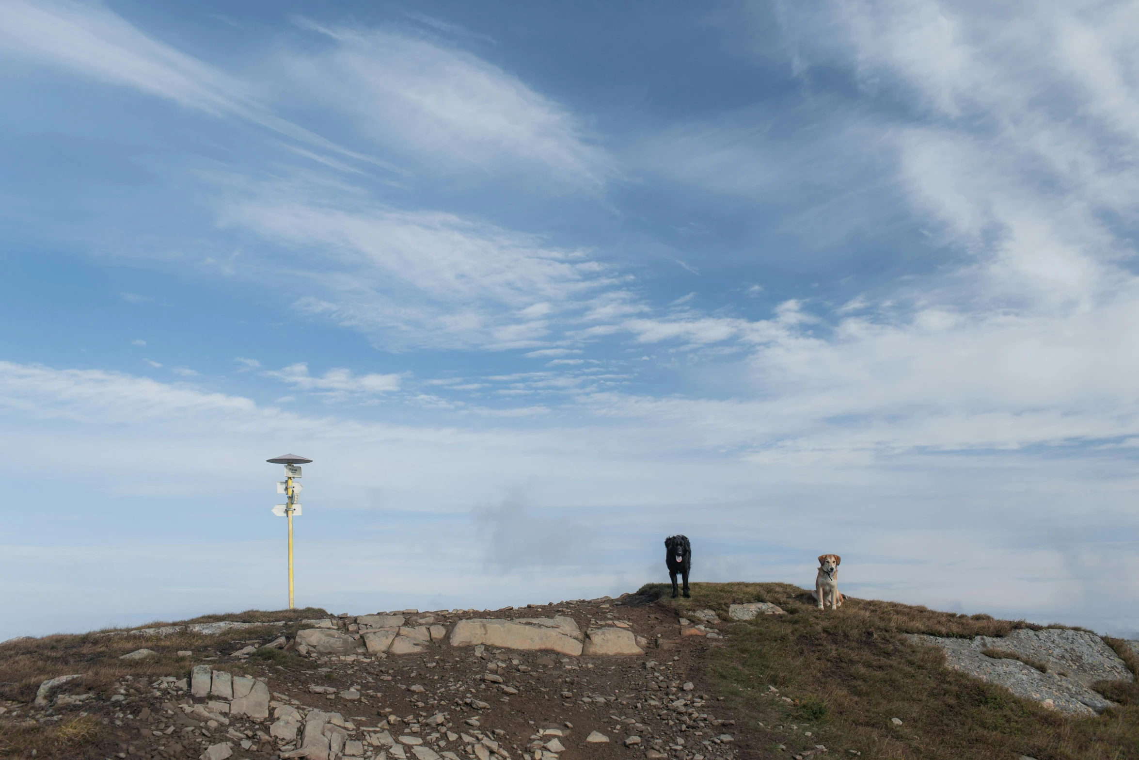 a couple is standing on the top of a hill