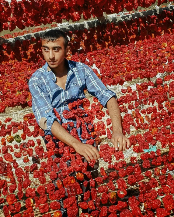 a man stands in front of a field of red flowers