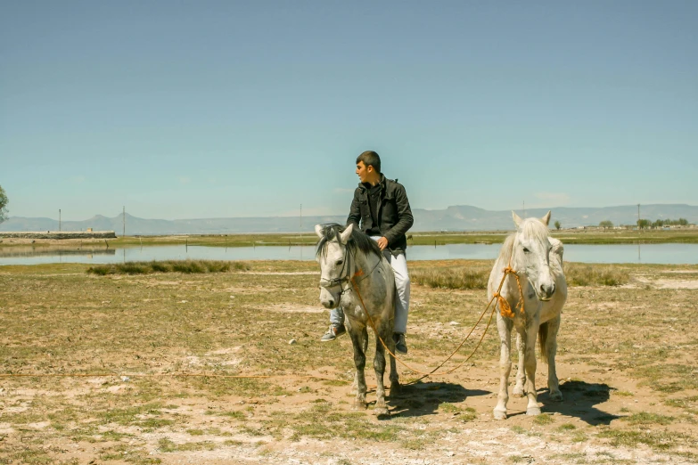 a man riding on the back of two horses