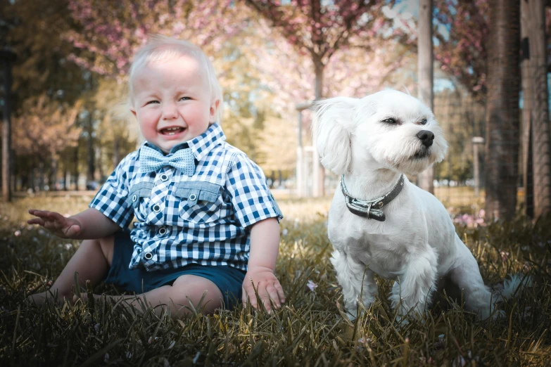 a  sitting next to his dog on the grass