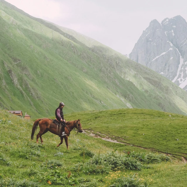 a person riding a horse near the mountains