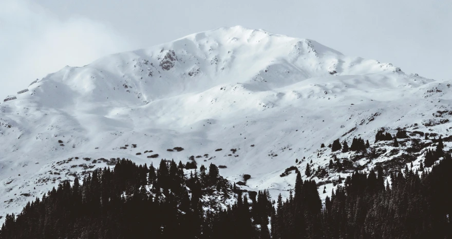 a snowy mountain range with trees and snow in the foreground