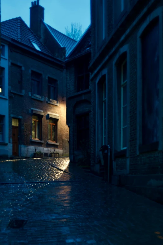 a wet cobblestone road with buildings in the background