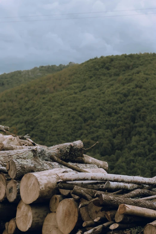 an image of a pile of wood near a mountain