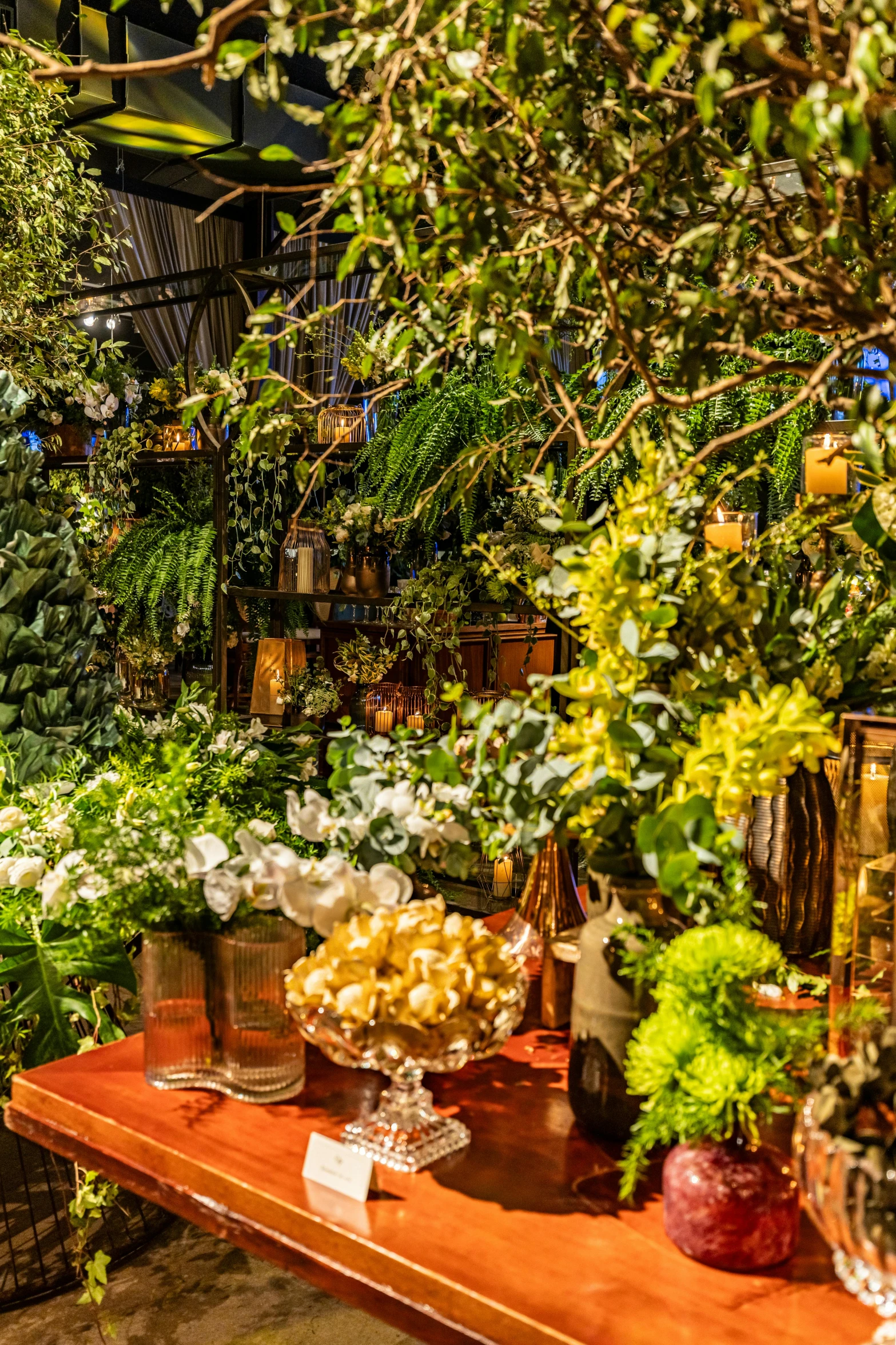 a table topped with lots of different plants