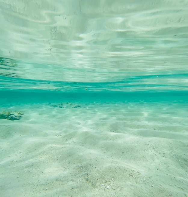 a underwater scene in the clear water