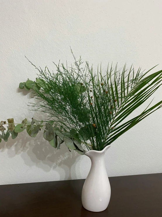 small plant displayed in a white vase on a table