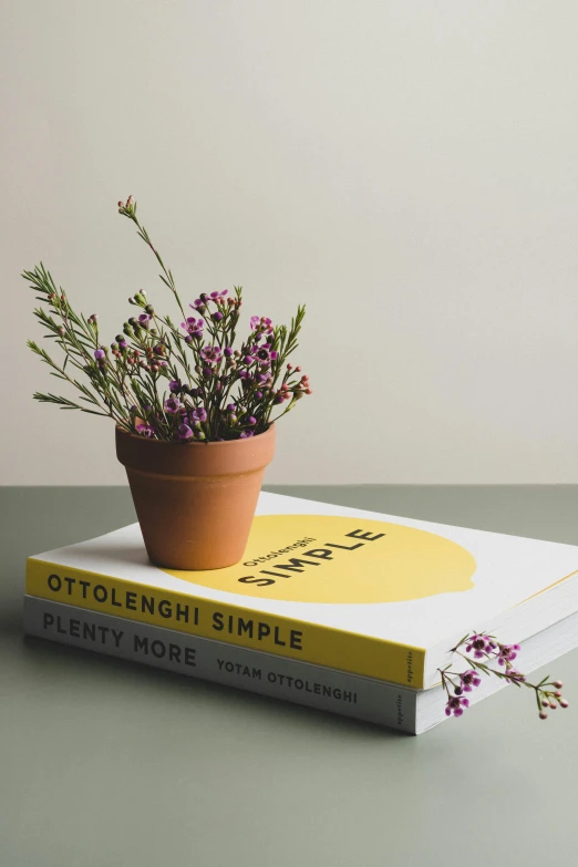 a flower pot sitting on top of a stack of books