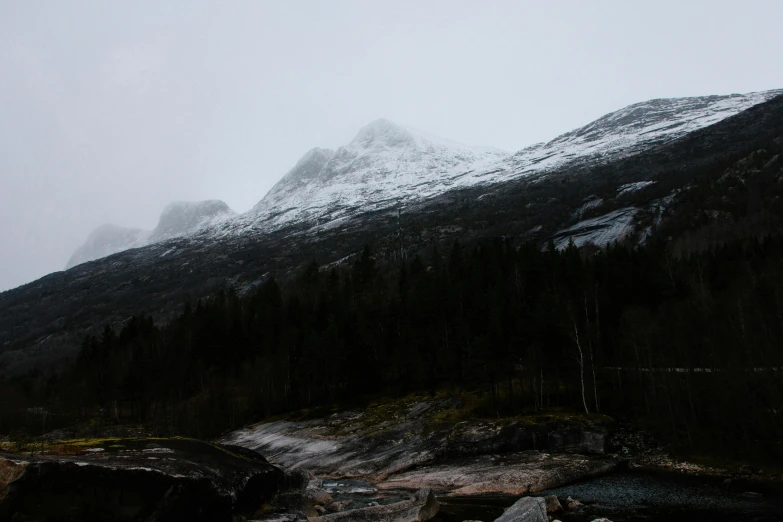 a mountain covered in snow with a forest in the background