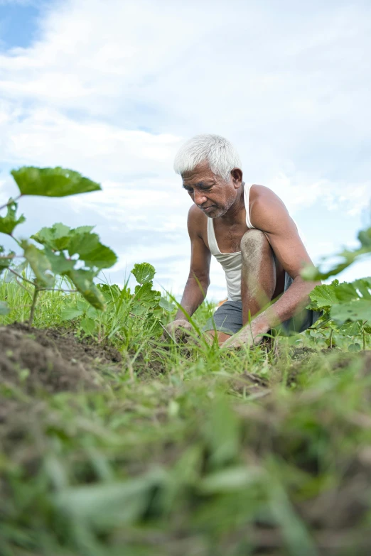 man kneeling down in tall grass and plants