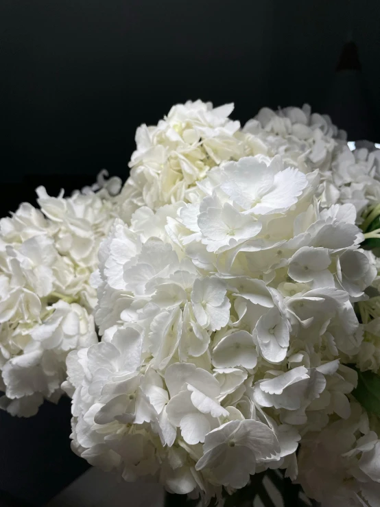 white and red flowers in a glass vase