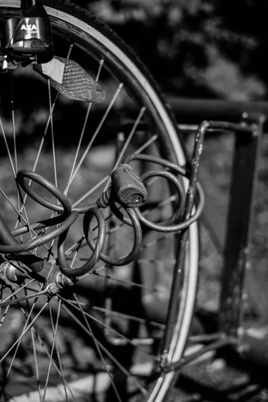 the front wheel of an old bicycle is seen from the side